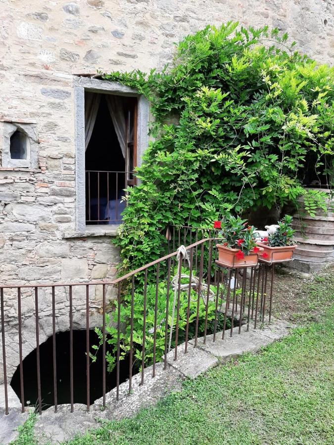 Agriturismo Frantoio Valiani Cortona Exterior foto