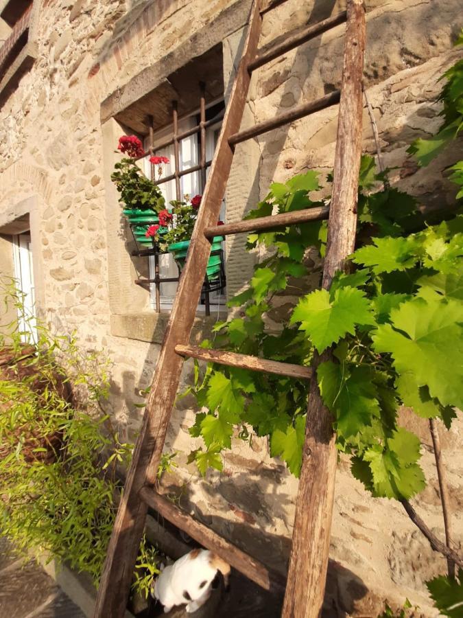Agriturismo Frantoio Valiani Cortona Exterior foto