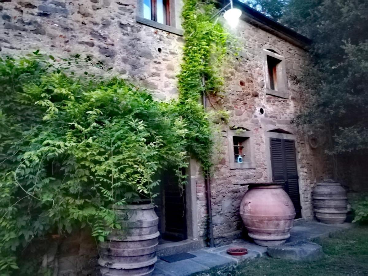 Agriturismo Frantoio Valiani Cortona Exterior foto