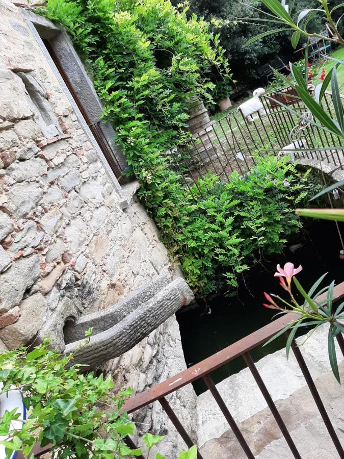 Agriturismo Frantoio Valiani Cortona Exterior foto